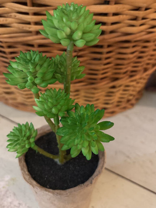 Green Faux Succulent