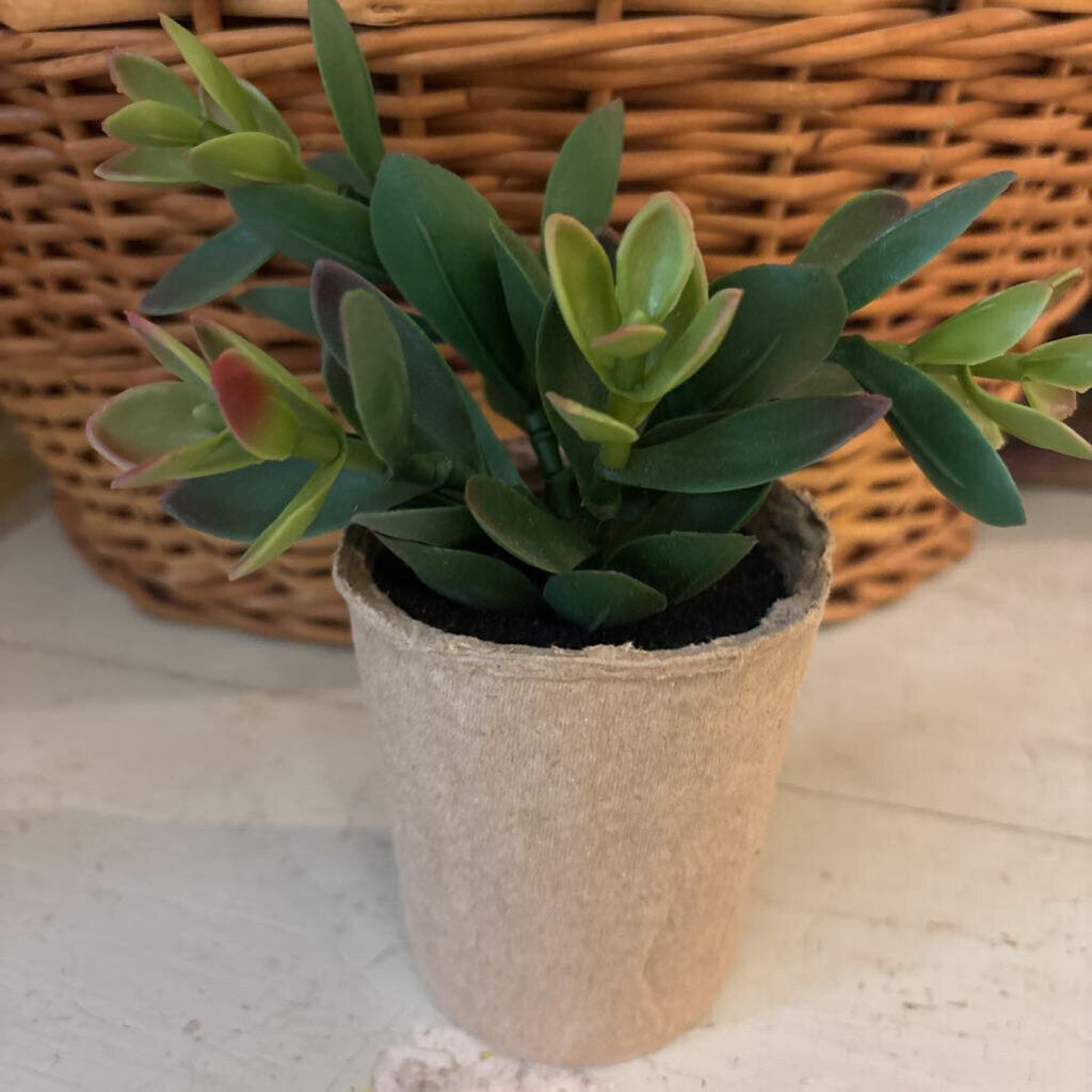 Pink Tip Faux Succulent
