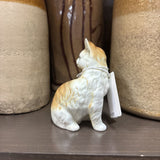 #770 Petite Cat
