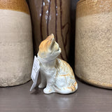 #770 Petite Cat