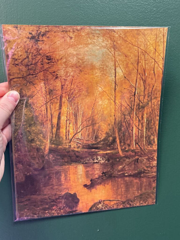 8x10 Autumn Forest Landscape Unframed Art Print