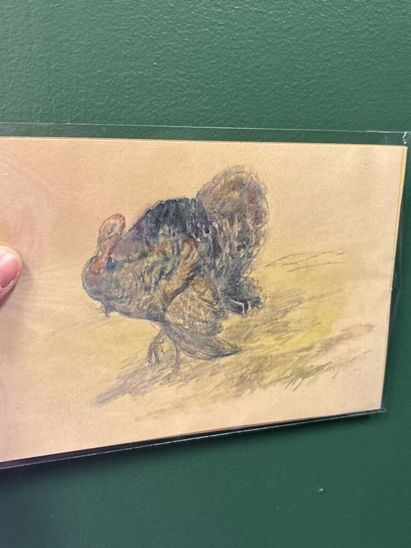 5x7 Turkey Unframed Art Print