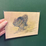 5x7 Turkey Unframed Art Print