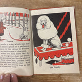 Around The World With Dogs Book