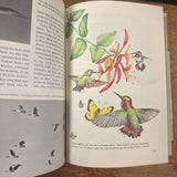 Flying Animals Golden Book