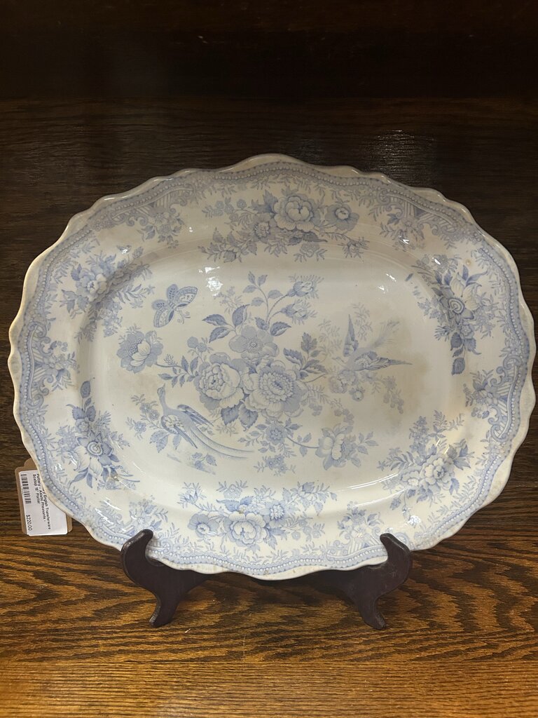 19th Century English Transferware Pottery - Asiatic Pheasants - Scallop 15" Platter