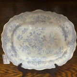 19th Century English Transferware Pottery - Asiatic Pheasants - Scallop 15" Platter
