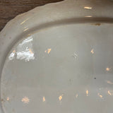 19th Century English Transferware Pottery - Asiatic Pheasants - Scallop 15" Platter