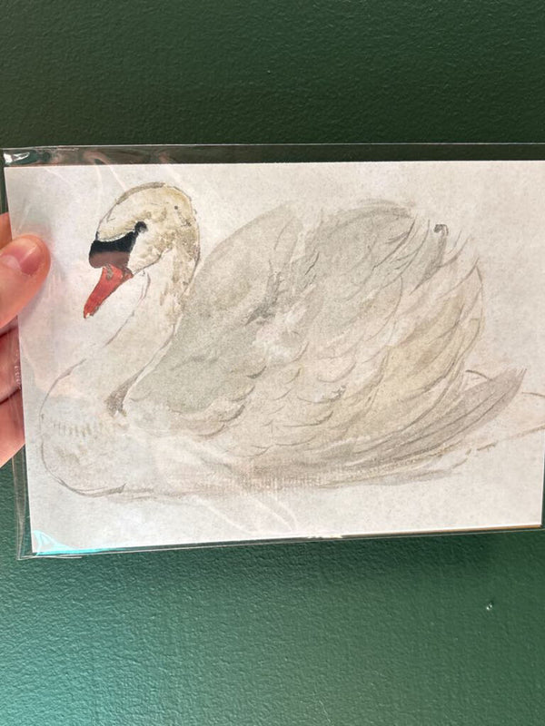 5x7 Elegant White Swan Unframed Art Print