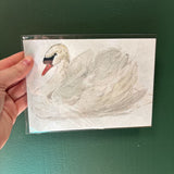 5x7 Elegant White Swan Unframed Art Print