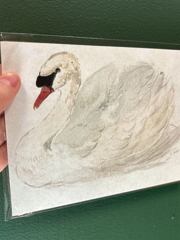5x7 Elegant White Swan Unframed Art Print